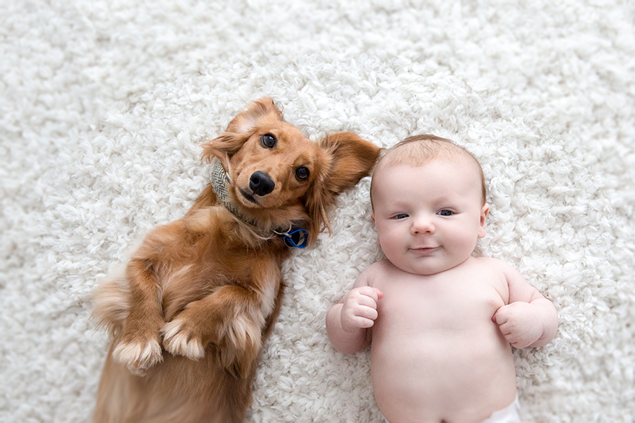 3mth old photography Dixie Lee